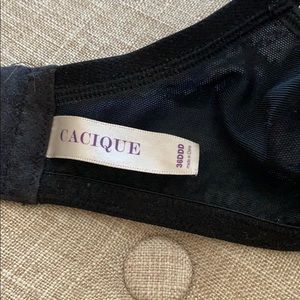 Cacique Intimates & Sleepwear - Beautiful Bra 36DDD Cacique Intimates & Sleepwear - Beautiful Bra 36DDD
